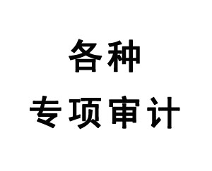 各種專項審計